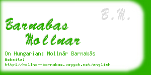 barnabas mollnar business card
